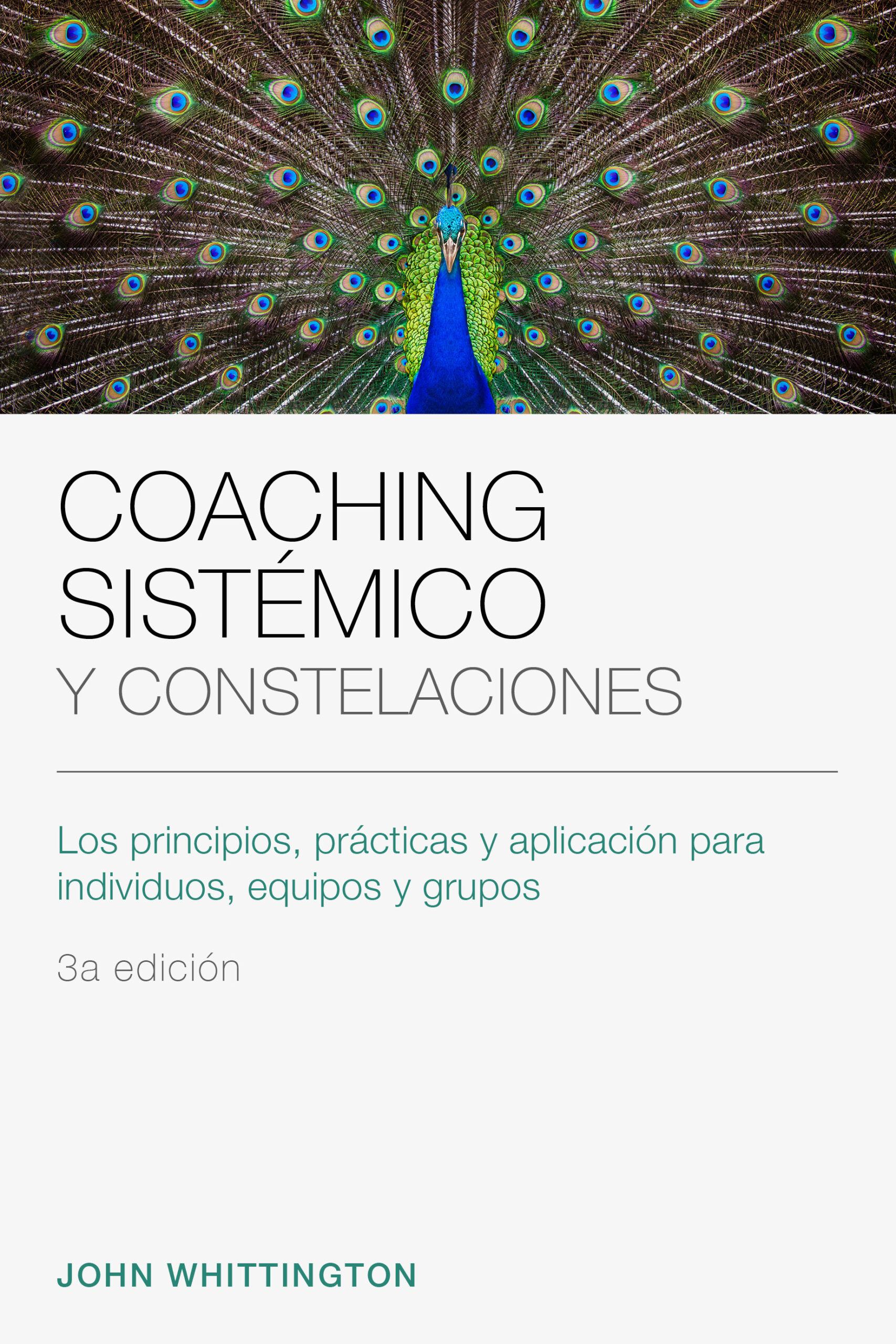 Reading - Coaching Constellations